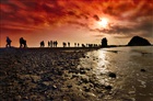 dailyPhoto8